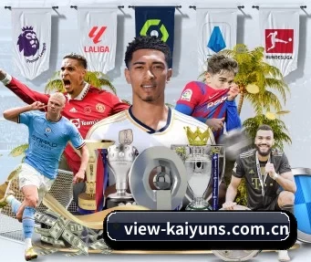 开云体育 APP